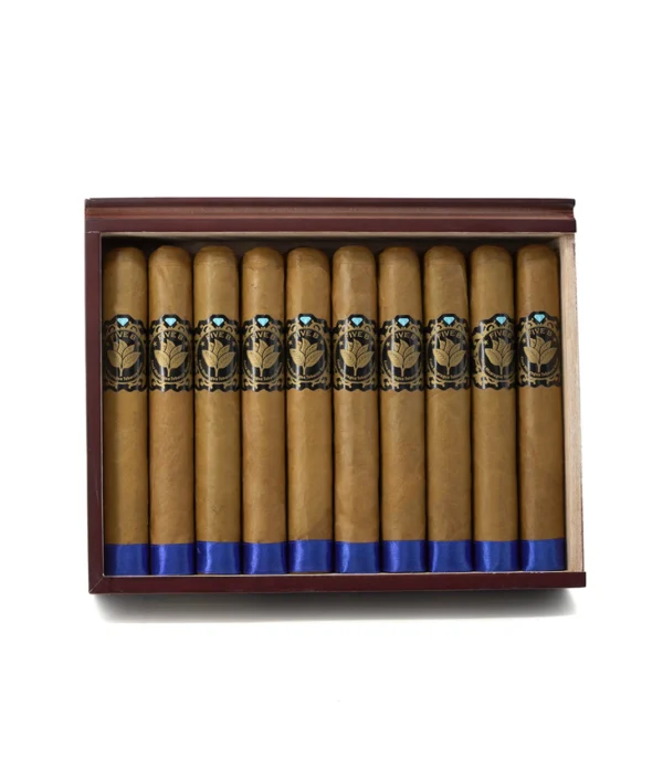 Casa Nicaragua Five B Esplendido Cigar - Image 4