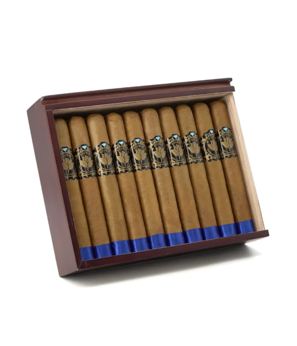 Casa Nicaragua Five B Esplendido Cigar - Image 5