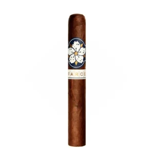 Room 101 Farce Maduro Robusto Cigar – Single